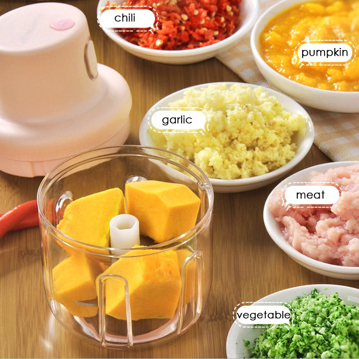 Dritzy Rechargeable Vegetable Chopper (250ml)